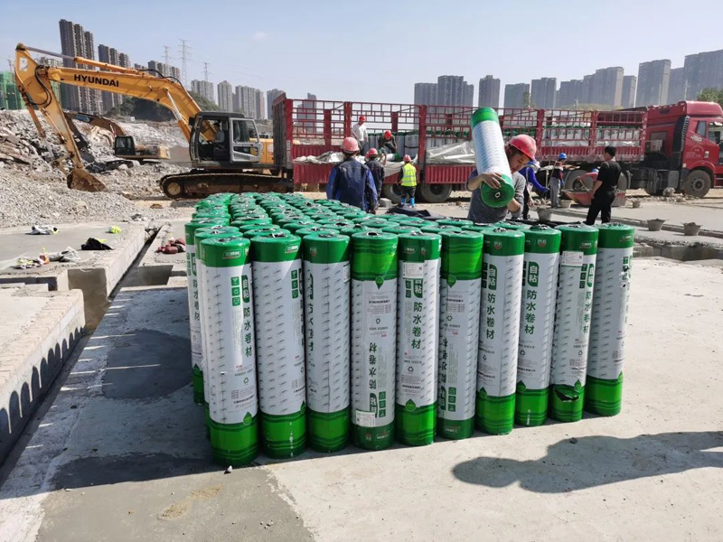 ɼɼ��������˹�㳡������