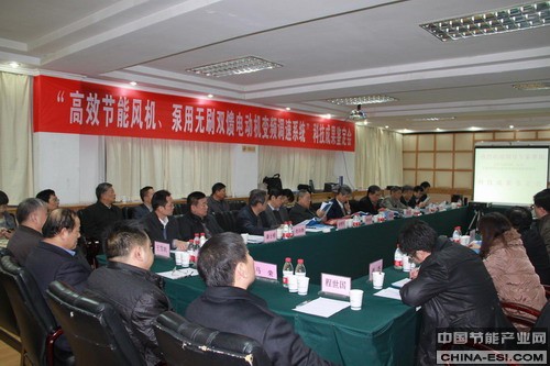 ��Ч���ܷ����������ˢ˫���綯����Ƶ����ϵͳ